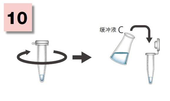 粘蛋白檢測(cè)試劑盒                              Mucin Assay Kit