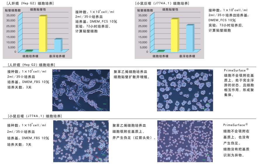 PrimeSurface 35mm 培養(yǎng)皿                              PrimeSurface 35mm dish