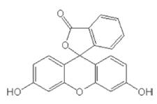 熒光色素成分