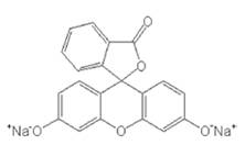 熒光色素成分