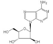 抗皰疹藥成分