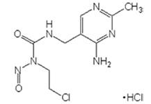 烷基化劑成分