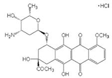 抗腫瘤性抗生物質(zhì)