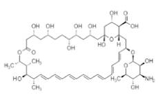 多烯類抗真菌藥成分