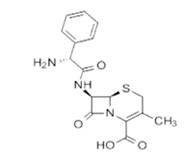 頭孢烯素類抗生物質(zhì)