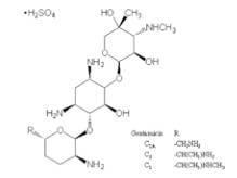 氨基甙類(lèi)抗生物質(zhì)