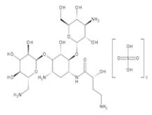 氨基甙類(lèi)抗生物質(zhì)