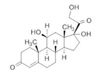 腎上腺皮質(zhì)激素