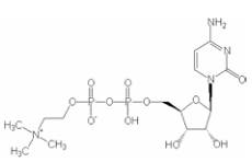 腦循環(huán)?代謝改善藥成分