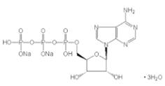腦循環(huán)?代謝改善藥成分