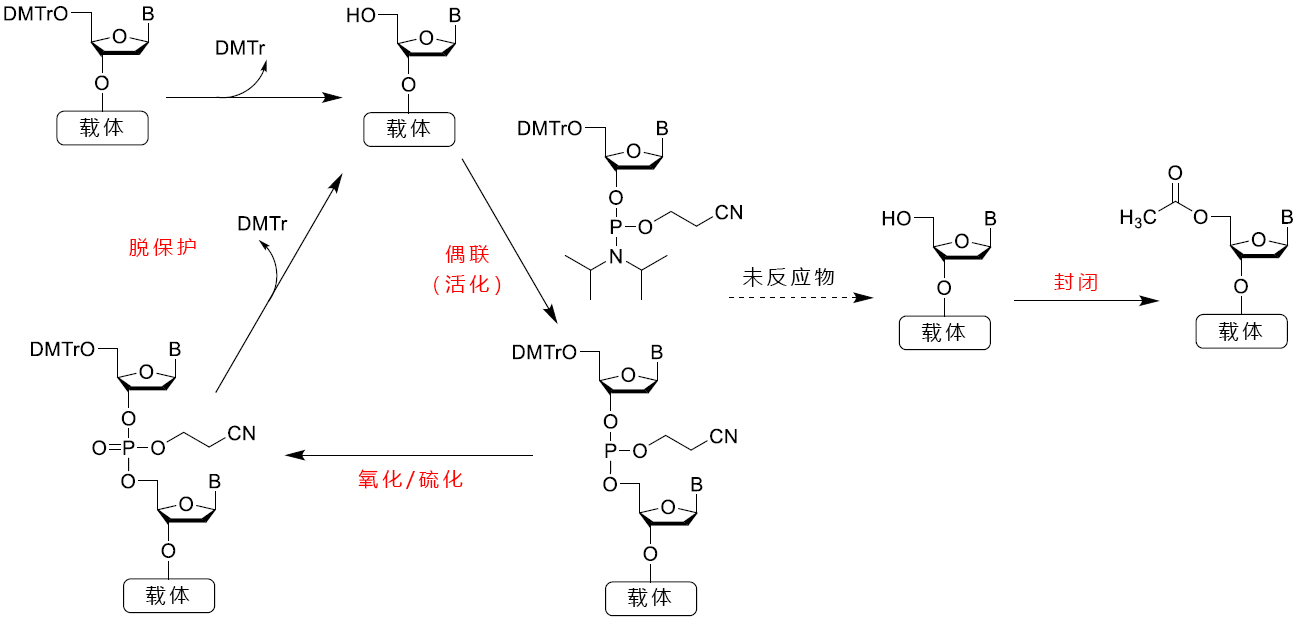 ?KTA oligopilot用試劑