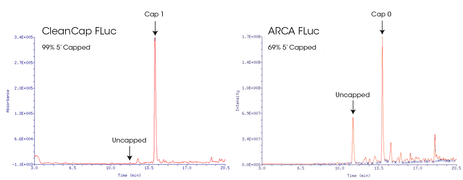 CleanCap??mRNA                              含Capping結(jié)構(gòu)的高活性mRNA