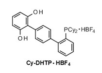 四氟硼酸2''-(二環(huán)己基膦)-對三聯(lián)苯-2,6-二醇                              2''-(Dicyclohexylphosphino)-p-terphenyl-2,6-diol Tetrafluoroborate