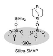 硅膠負(fù)載型籃式結(jié)構(gòu)催化劑                              Silica-SMAP、Silica-TRIP