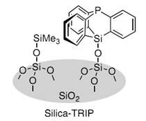 硅膠負(fù)載型籃式結(jié)構(gòu)催化劑                              Silica-SMAP、Silica-TRIP