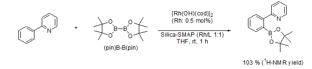 硅膠負(fù)載型籃式結(jié)構(gòu)催化劑                              Silica-SMAP、Silica-TRIP