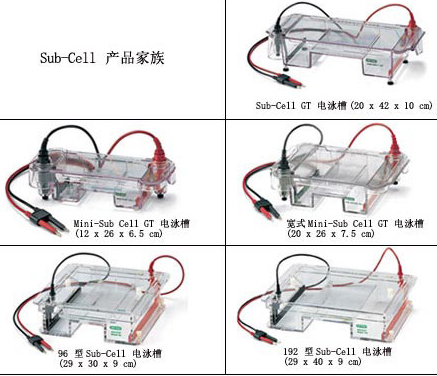 Bio-Rad伯樂 Sub-cell水平電泳系統(tǒng)